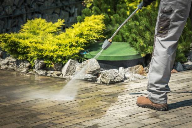 Pre-Holiday Cleaning in Willowbrook, CA