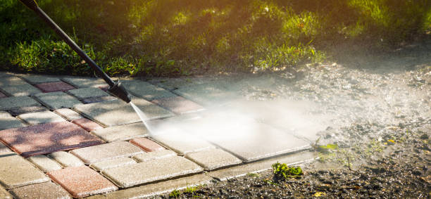 Best Fence Cleaning  in Willowbrook, CA